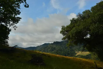 DSC_6791 (Large).JPG